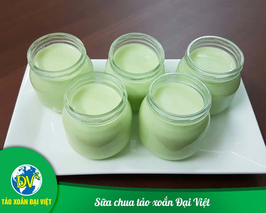 Sữa chua tảo xoắn Đại Việt