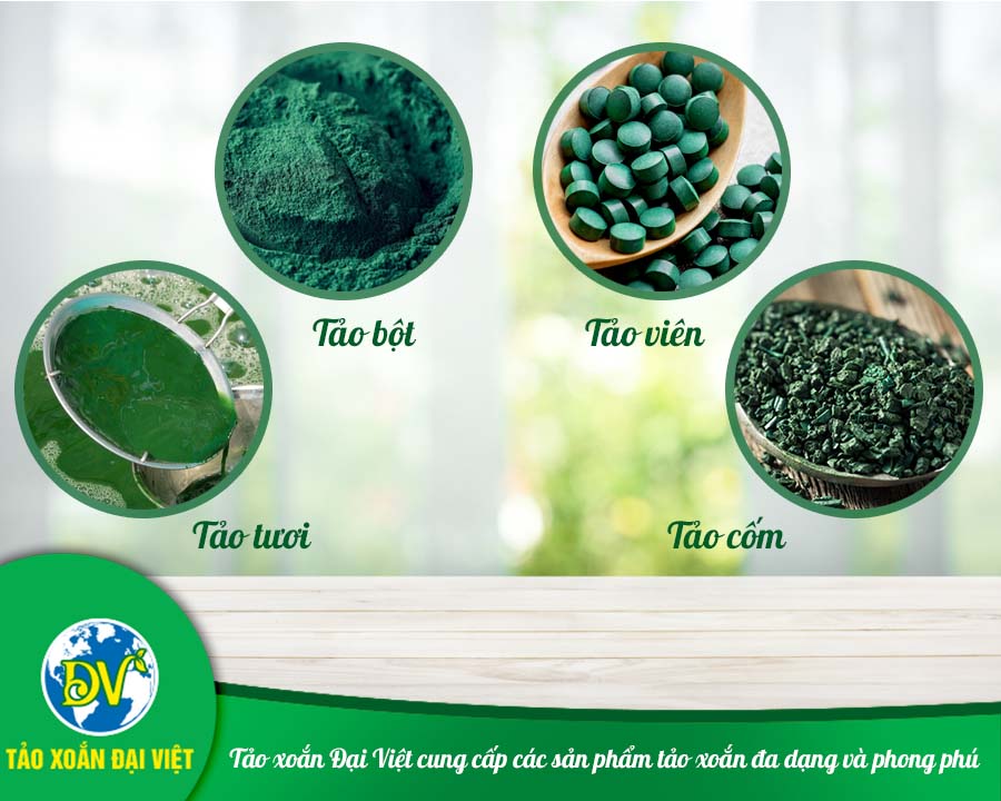 Tảo xoắn Đại Việt cung cấp các sản phẩm tảo xoắn đa dạng và phong phú