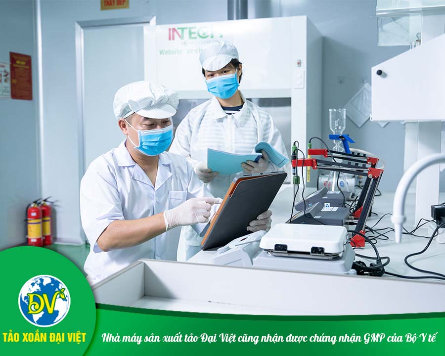 Nhà máy sản xuất tảo Đại Việt cũng nhận được chứng nhận GMP của Bộ Y tế