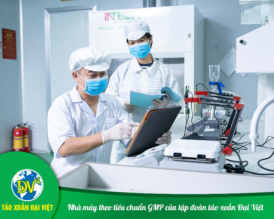 Nhà máy tảo xoắn theo tiêu chuẩn GMP của tập đoàn tảo xoắn Đại Việt
