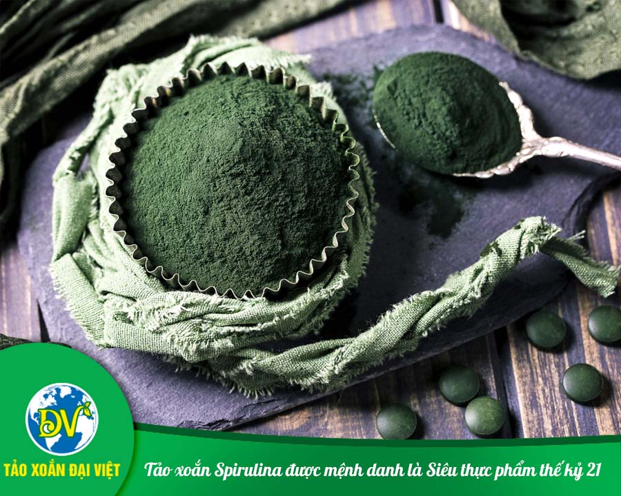Tảo xoắn Spirulina được mệnh danh là Siêu thực phẩm thế kỷ 21