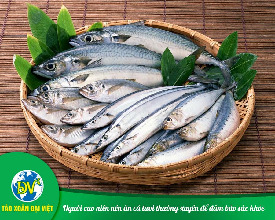 Người cao niên nên ăn cá tươi thường xuyên để đảm bảo sức khỏe