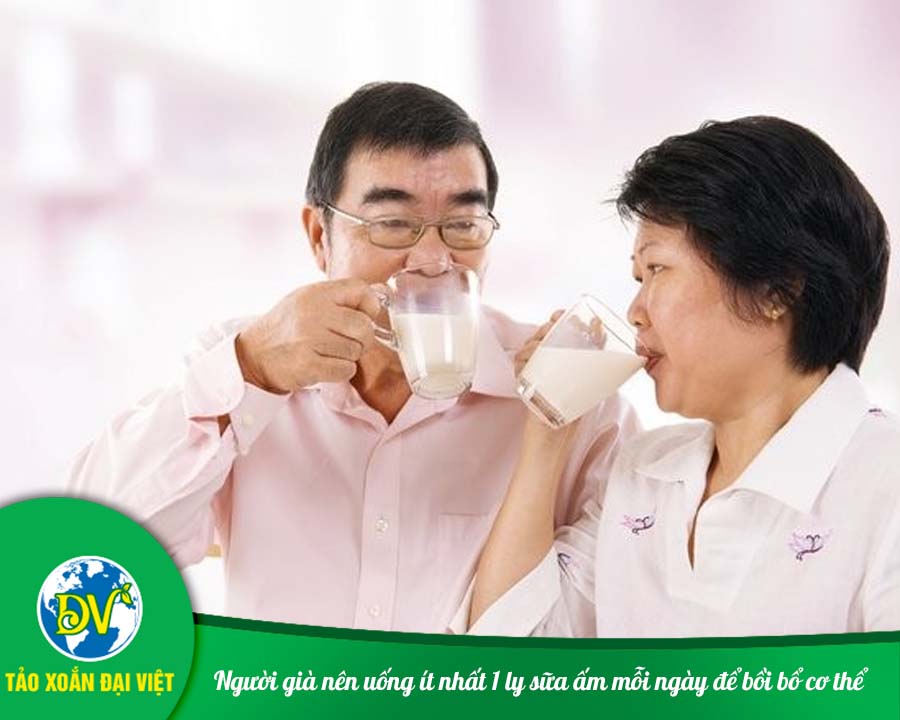 Người già nên uống ít nhất 1 ly sữa ấm mỗi ngày để bồi bổ cơ thể.