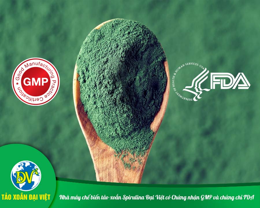 Nhà máy chế biến tảo xoắn Spirulina Đại Việt có Chứng nhận GMP và chứng chỉ FDA