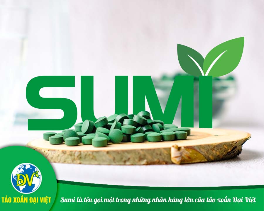 Sumi là tên gọi một trong những nhãn hàng lớn của tảo xoắn Đại Việt Sumi là tên gọi một trong những nhãn hàng lớn của tảo xoắn Đại Việt