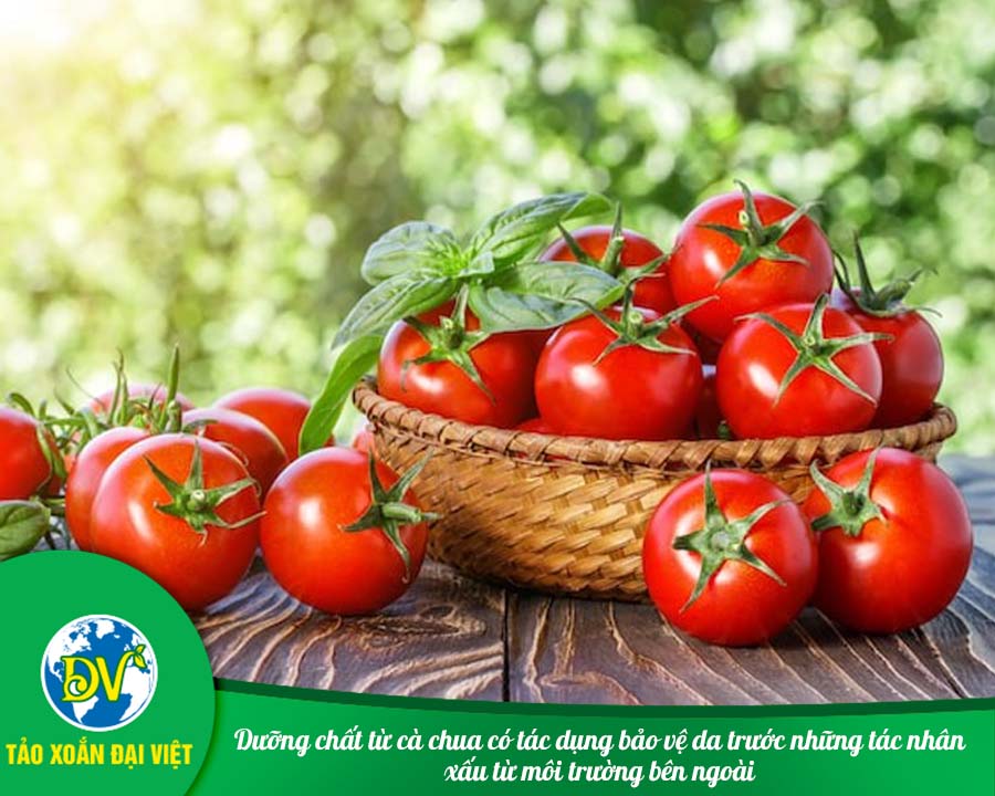 Dưỡng chất từ cà chua có tác dụng bảo vệ da trước những tác nhân xấu từ môi trường bên ngoài