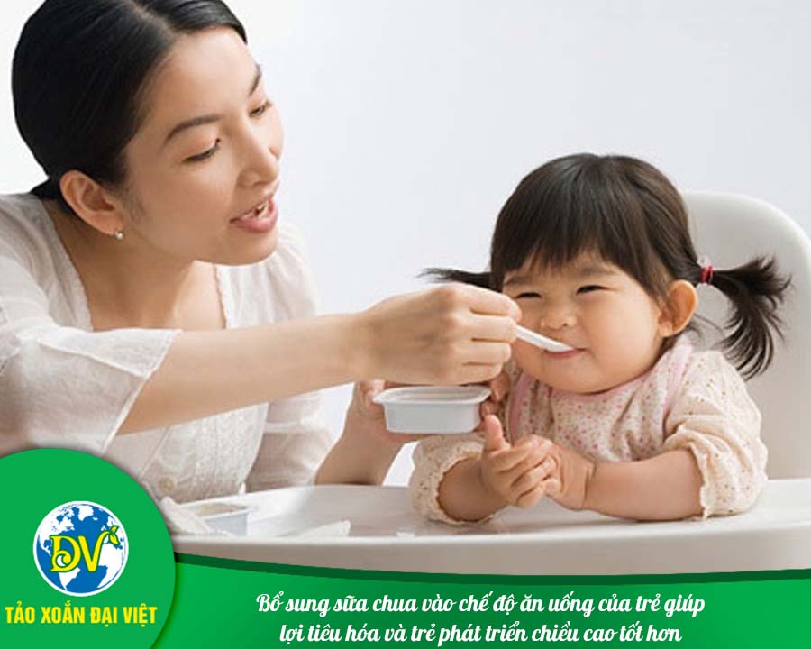 Bổ sung sữa chua vào chế độ ăn uống của trẻ giúp lợi tiêu hóa và trẻ phát triển chiều cao tốt hơn