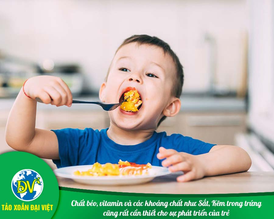 Chất béo, vitamin và các khoáng chất như Sắt, Kẽm trong trứng cũng rất cần thiết cho sự phát triển của trẻ
