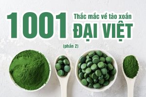 Tảo xoắn Spirulina Đại Việt có tốt không? (P2)