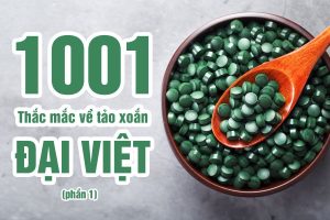Tảo xoắn Đại Việt có tốt không? (P1)
