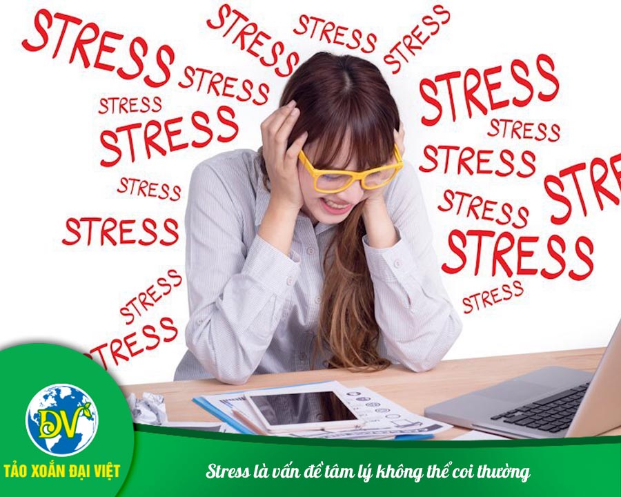 Stress là vấn đề tâm lý không thể coi thường