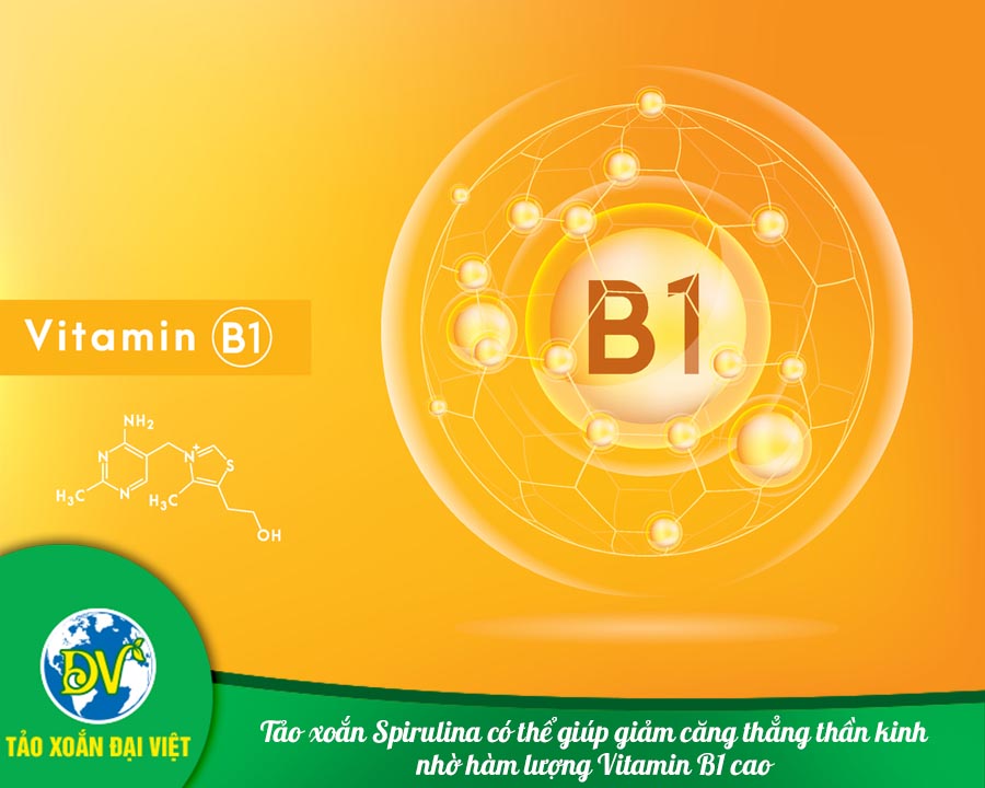Tảo xoắn Spirulina có thể giúp giảm căng thẳng thần kinh nhờ hàm lượng Vitamin B1 cao