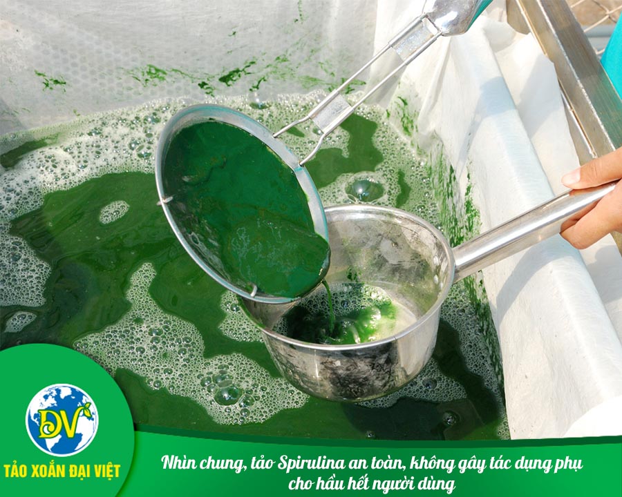 Nhìn chung, tảo Spirulina an toàn, không gây tác dụng phụ cho hầu hết người dùng
