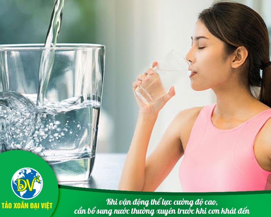 Khi vận động thể lực cường độ cao, cần bổ sung nước thường xuyên trước khi cơn khát đến