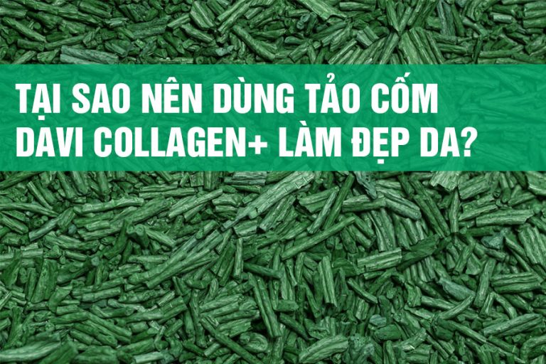 Tảo cốm Davi Collagen+, tại sao nên dùng?
