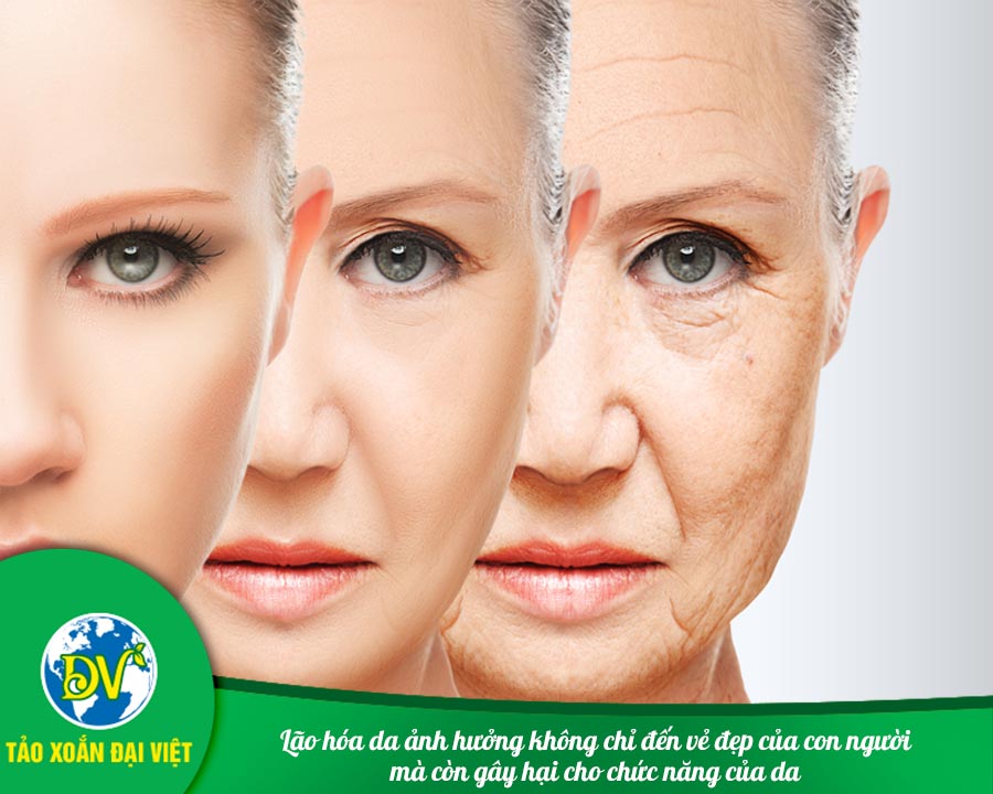 Lão hóa da ảnh hưởng không chỉ đến vẻ đẹp của con người mà còn gây hại cho chức năng của da. 