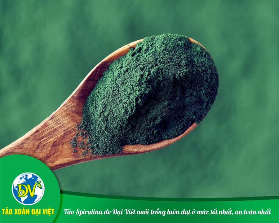 Tảo Spirulina do Đại Việt nuôi trồng luôn đạt ở mức tốt nhất, an toàn nhất.