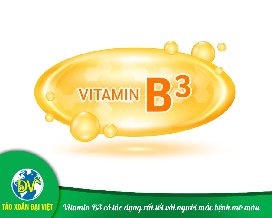 Vitamin B3 có tác dụng rất tốt với người mắc bệnh mỡ máu