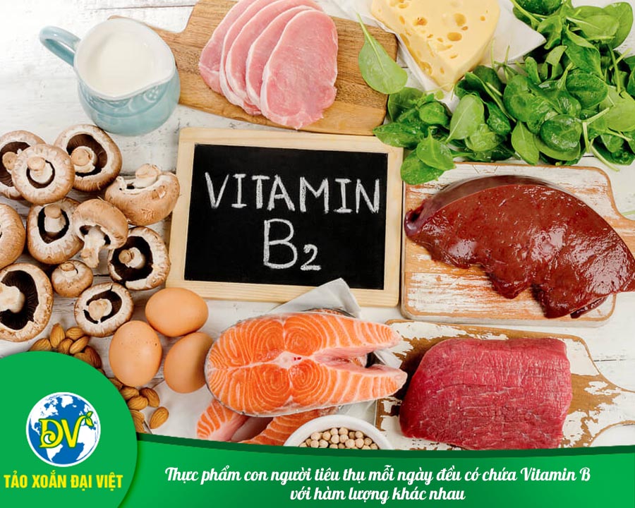 Thực phẩm con người tiêu thụ mỗi ngày đều có chứa Vitamin B với hàm lượng khác nhau