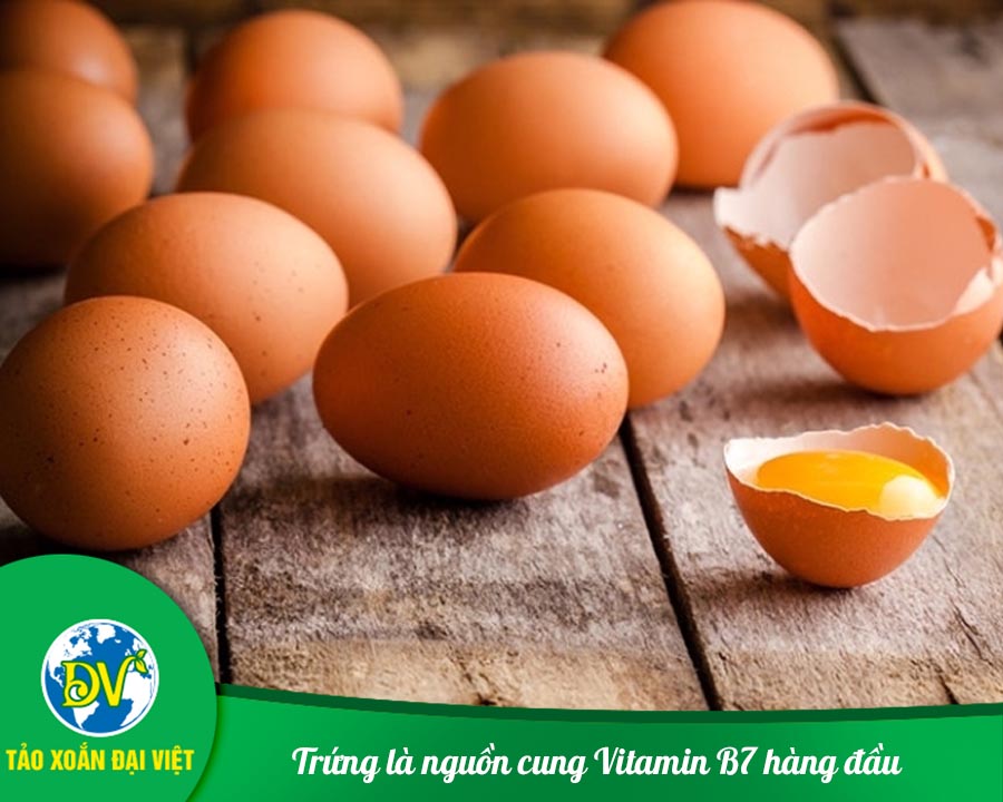 Trứng là nguồn cung Vitamin B7 hàng đầu