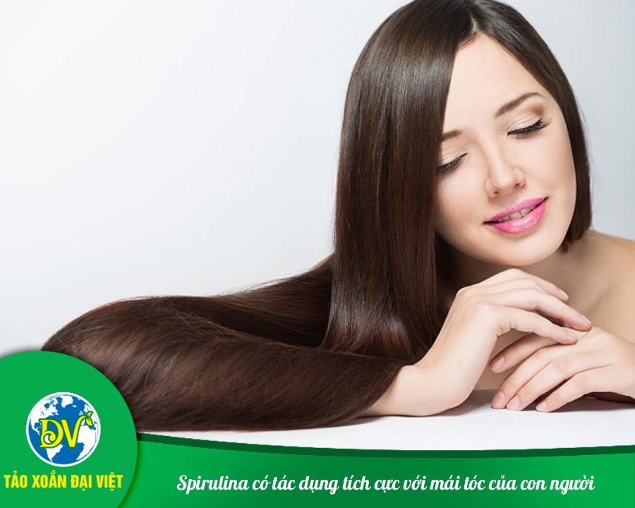 Spirulina có tác dụng tích cực với mái tóc của con người