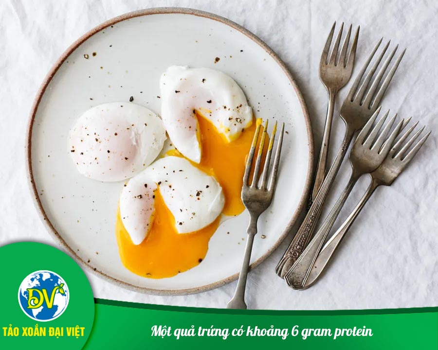 Một quả trứng có khoảng 6 gram protein