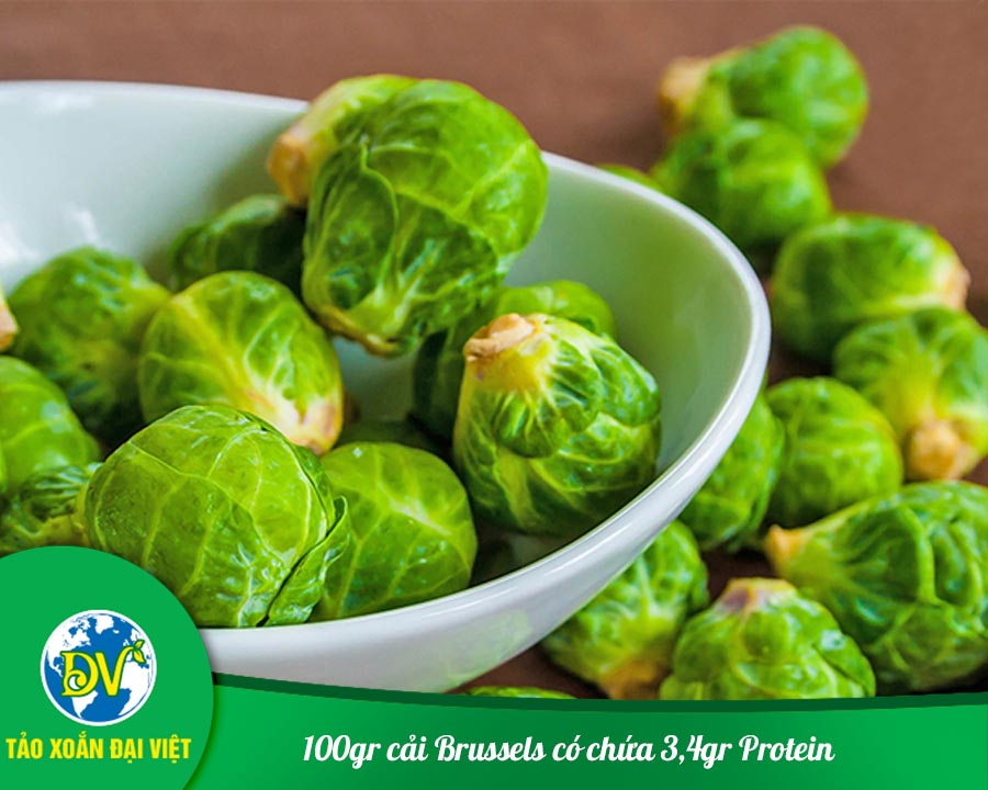 100gr cải Brussels có chứa 3,4gr Protein