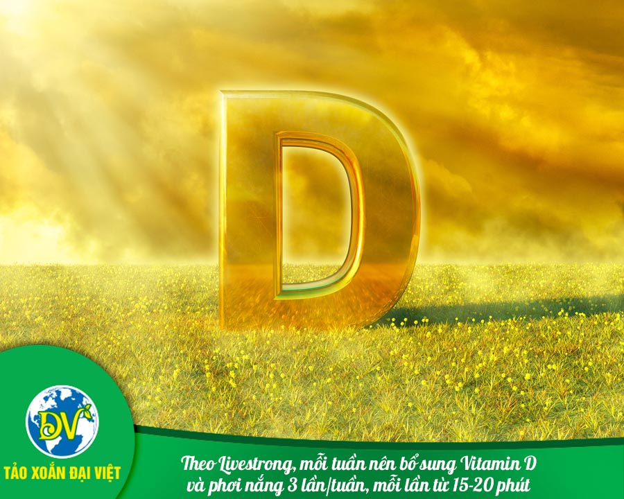 Theo Livestrong, mỗi tuần nên bổ sung Vitamin D và phơi nắng 3 lần/tuần, mỗi lần từ 15-20 phút.