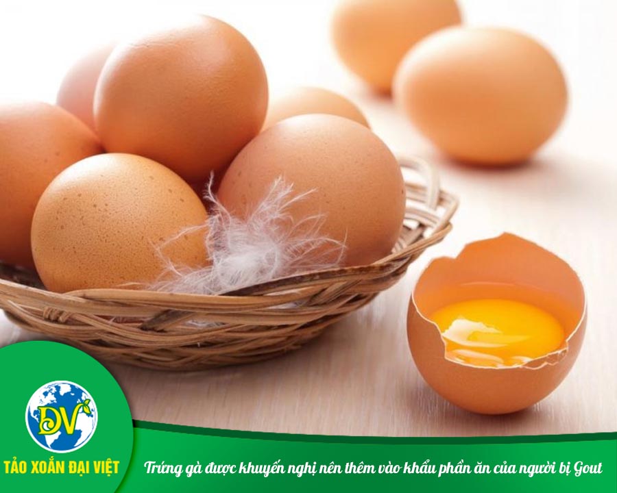 Trứng gà được khuyến nghị nên thêm vào khẩu phần ăn của người bị Gout