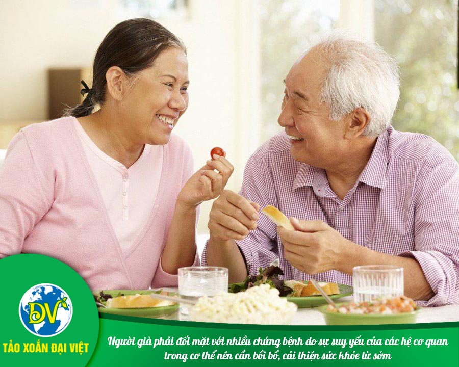 Người già phải đối mặt với nhiều chứng bệnh do sự suy yếu của các hệ cơ quan trong cơ thể nên cần bồi bổ, cải thiện sức khỏe từ sớm