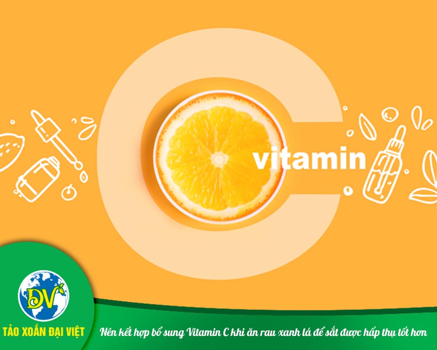 Nên kết hợp bổ sung Vitamin C khi ăn rau xanh lá để sắt được hấp thụ tốt hơn