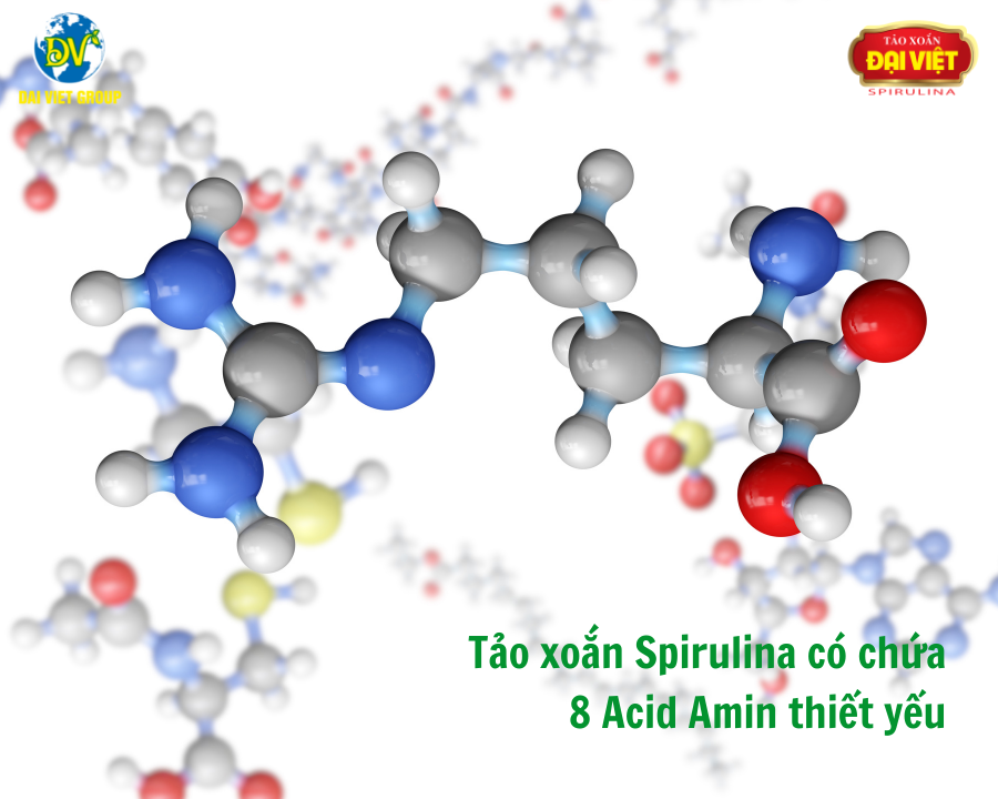 Tảo xoắn Spirulina có chứa 8 Acid Amin thiết yếu