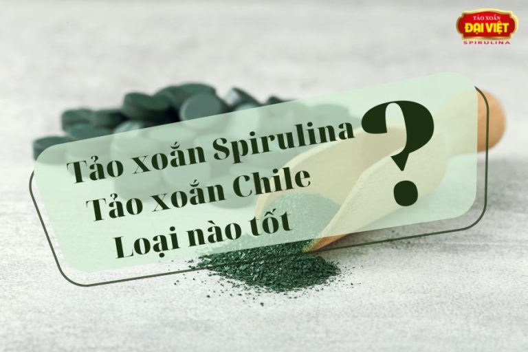 Tảo xoắn Chile và tảo xoắn Spirulina loại nào tốt hơn? 