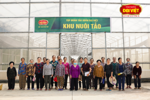 Tham quan nhà máy nuôi trồng tảo hàng đầu Việt Nam
