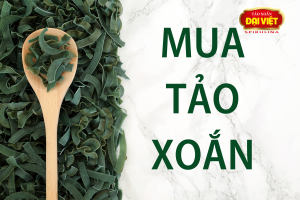 Mua tảo xoắn Đại Việt – sự lựa chọn lý tưởng cho sức khỏe