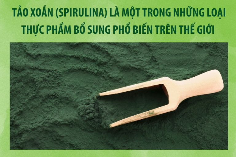 Tảo xoắn (Spirulina) là một trong những loại thực phẩm bổ sung phổ biến nhất thế giới