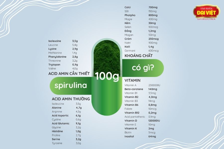 Tảo Spirulina chứa nhiều Vitamin, dưỡng chất, khoáng chất tốt với sức khỏe