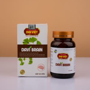 Thực phẩm bảo vệ sức khỏe – Davi Brain – DV40