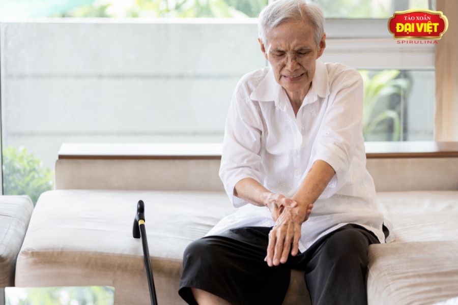 Bệnh xương khớp ở người già vô cùng phổ biến với nhiều triệu chứng gây đau đớn, bất tiện cho người bệnh